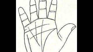 Love Arrange Marriage Predictions Palmistry Marriage Line For Women