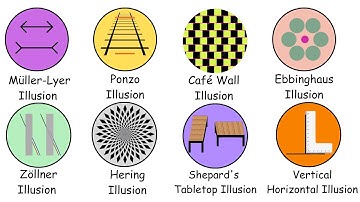 Every Geometry Illusion That Alters Your Brain