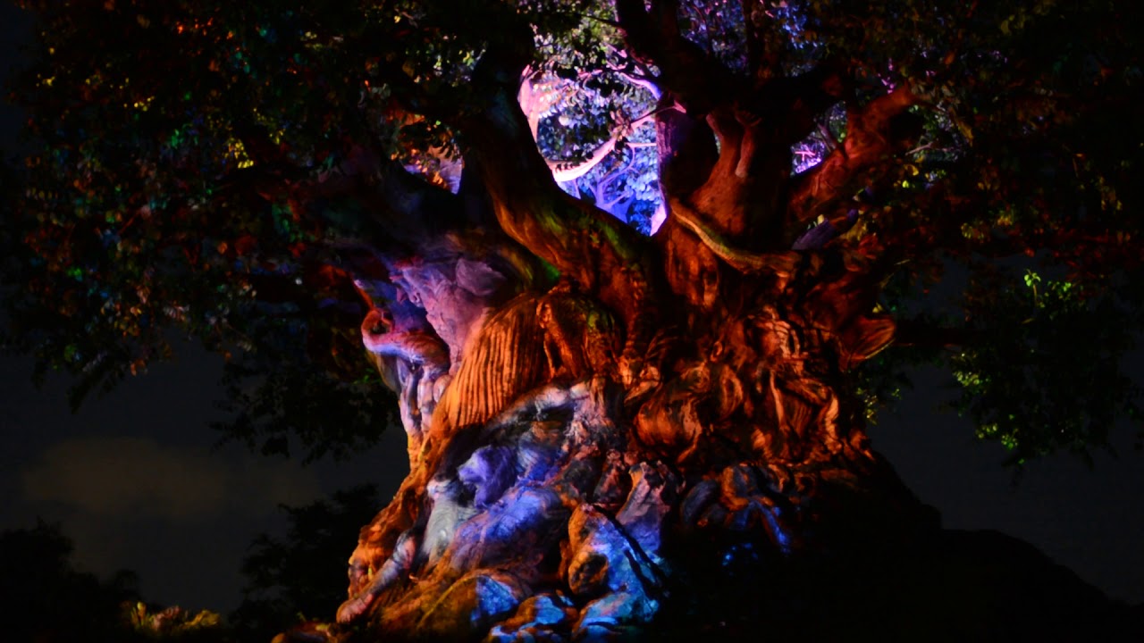 Disney's Animal Kingdom Tree of Life Awakening (Winter Season 2) - YouTube