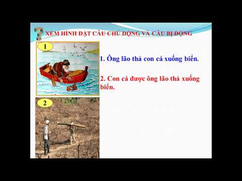 Ngữ Văn 7. Bài. Chuyển đổi câu chủ động thành câu bị động