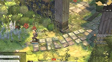 Flash in Tree of Savior $)