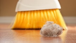 Top 10 Common Allergies