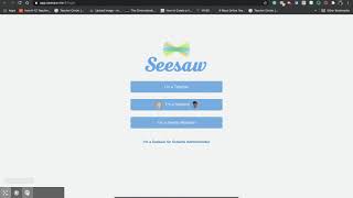 Crash Course on Using Seesaw