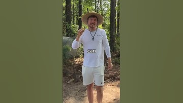 Spot The Hidden People For $10,000