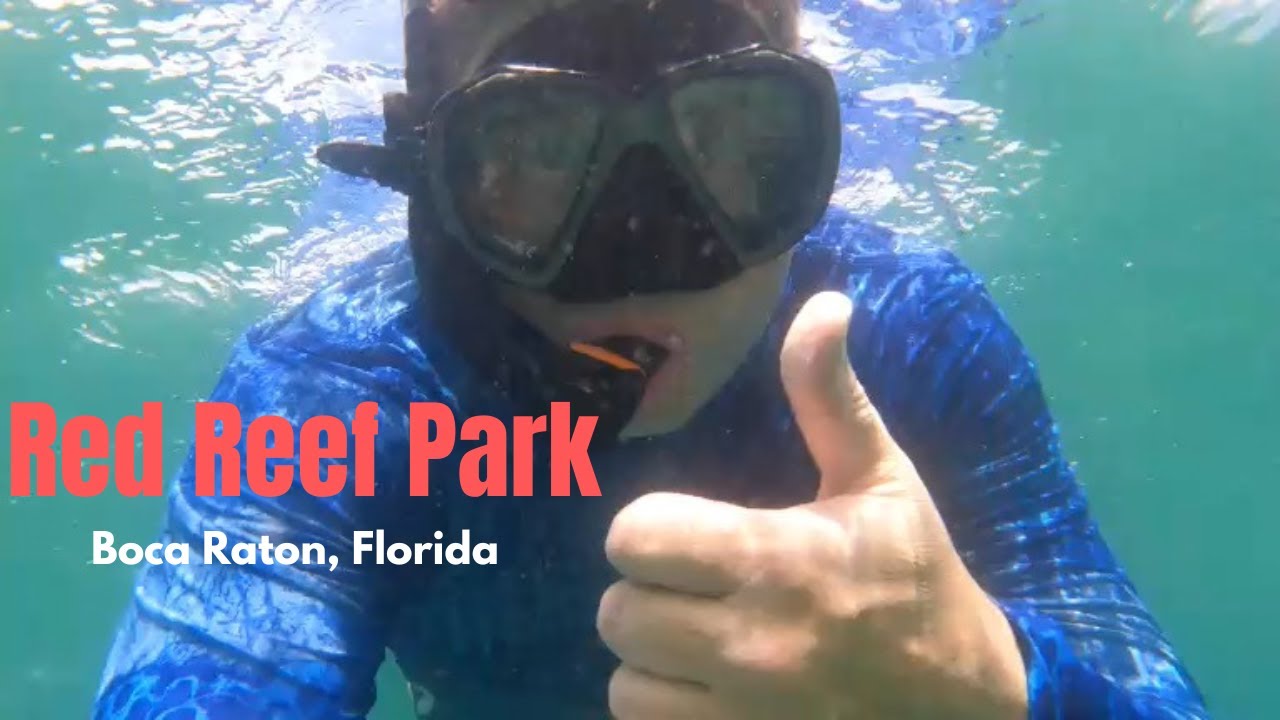 Larry Fish Boca Raton That's a lot of fish!!!!! Boca Raton, Florida - YouTube