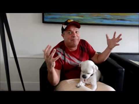 Instagram Video Contest 