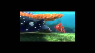 Taking Nemo