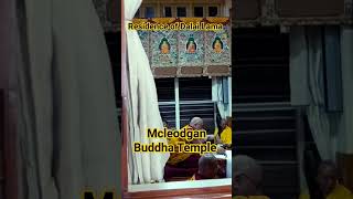 दलाई लामा का घर | भारत में इस जगह को मिनी तिब्बत क्यों कहते हैं dalailama himachal rbtgvlog
