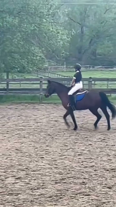 Lucy gooseee || credits to one of my friends @Thehaydiaries626 !!