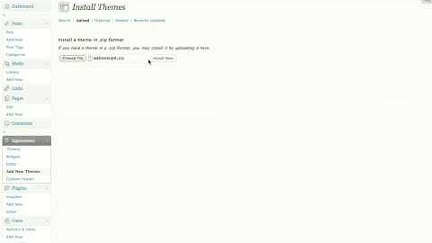 Step 2: How To Install Wordpress Theme