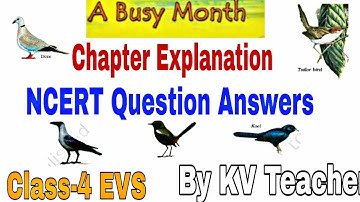 हिन्दी Explanation NCERT question answers / A Busy Month / Class 4 EVS /