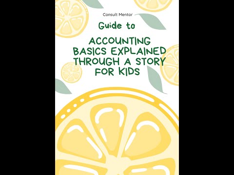 Accounting Basics  Explained Through a Story for kids