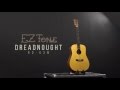 The ez tone series dreadnought