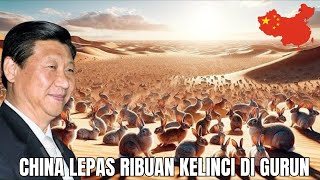 Cara Unik China Ubah Lahan Gersang Menjadi Subur Dengan bantuan Kelinci