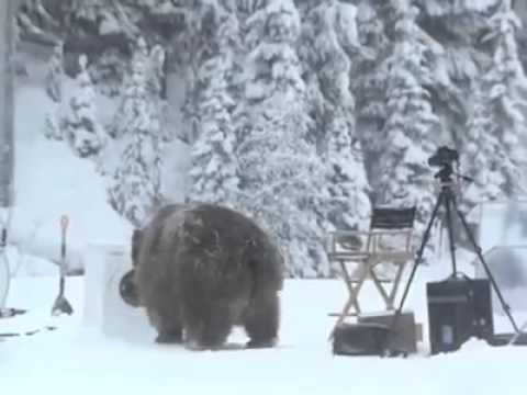 Видео: Машинууд агаарт явж чадах уу?