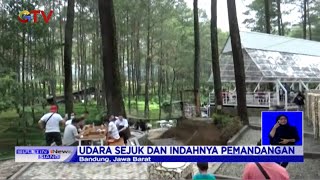 UNIK! Minum Kopi di Tengah Hutan Ditemani Indahnya Pemandangan dan Udara Sejuk - BIS 27/05
