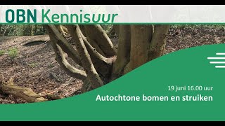 Download Lagu OBN Kennisuur | 19 juni 2025 | Autochtone bomen en struiken MP3 Download Lagu OBN Kennisuur | 19 juni 2025 | Autochtone bomen en struiken MP3