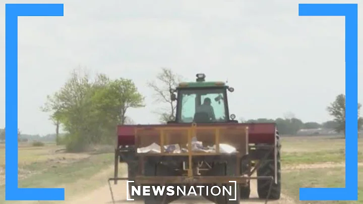 USDA launches regenerative farming pilot program | Morning in America