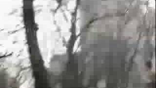 Funny Comedy Video Clip - 0010-.wmv
