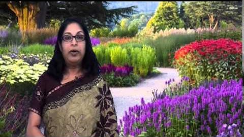 IPC 91st Convention Intro -  2