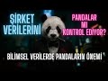 Python Dersi – Gün 23 | “Pandas” Sadece Hayvan Değilse?