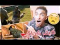 ردة فعلي علي ثعبان ياكل انسان !! ( مستححيل !!! )