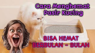 Cara Menghemat Pasir Kucing