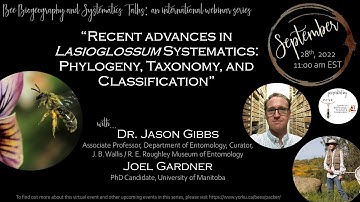 Recent advances in Lasioglossum Systematics: Phylogeny, Taxonomy, and Classification