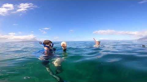 Trying to keep sea turtles out of fishing line