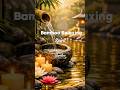 Bamboo Forest Relaxation🌿 Calm Nature Sounds for Peaceful Sleep #bamboorelaxation #meditationmusic