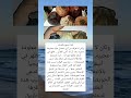 كلنا نسمع بالمسكولكن لا نعرف من أين نحصل عليه السعودية فلسطين العراق معلومات الجزائر ترند كلنا نسمع بالمسكولكن لا نعرف من أين نحصل عليه السعودية فلسطين العراق معلومات الجزائر ترند
