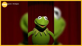 How Kermit the Frog is helping Nat Geo celebrate Earth Month