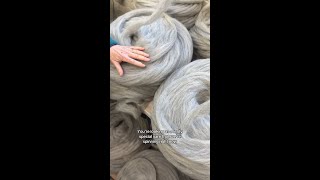 Spinning Up a New Farm Fresh Yarn!