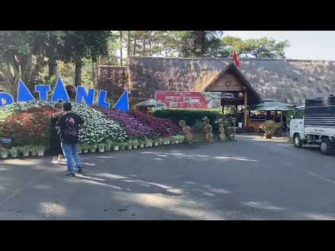 Vietnam Budget Car Rental | Travel to Dalat