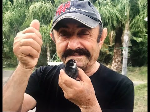Abbiamo trovato a "Pinguino" !!!
