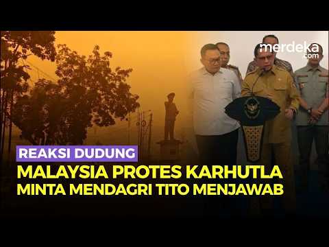 Reaksi Menko Dudung soal Malaysia Protes Karhutla, Kemenlu Tak Ada Minta Mendagri Tito Jawab