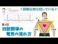 【心電図】第6回　分かる！四肢誘導の電気の流れ