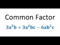 Factoring  common factors grade 10