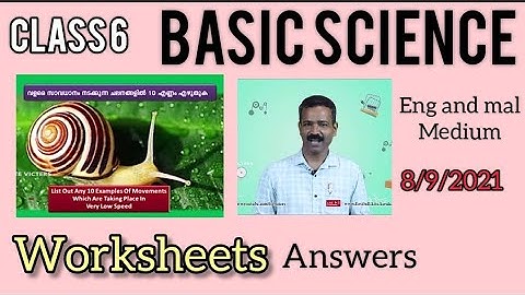 class 6 Basic science Chapter 4 /class 6 Science worksheet/STD 6 science victers work/class 6