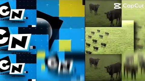 38 Shuric Scans With Are Slides