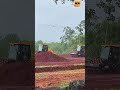 Xe lu rung JCB 116D làm việc trên công trường ngày mưa lớn