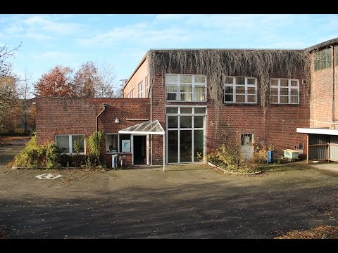 Inselflimmern - Wilhelmsburger