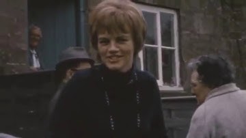 Bill Nichol’s 6 Documentary Modes