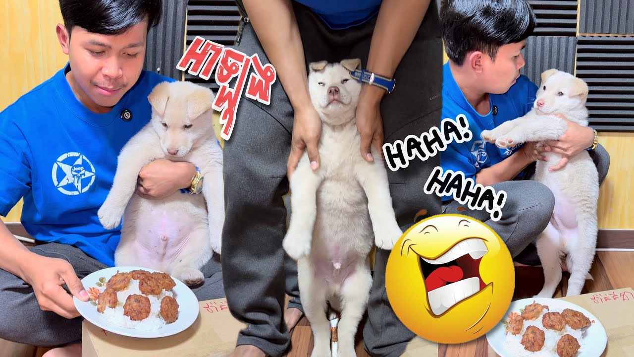 អាឡុងលូវចេះណាស់🔥😂ពូចិត្រFunny 