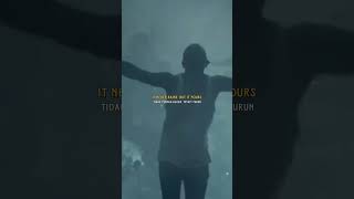 Architects  Animals  Lirik Terjemahan Indonesia status shorts  terjemahanindonesia