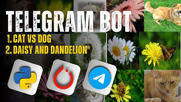 Image Classification | Telegram Bot | Build with Multiple Deep Learning Models
