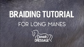 Donadt Dressage Braiding Tutorial For Long Manes #horse #equestrian