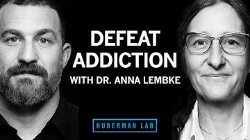 Understanding & Treating Addiction | Dr. Anna Lembke