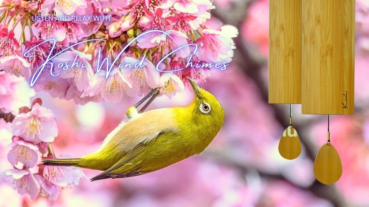 Relaxing Koshi Wind Chime Ambient Music and Nature Sounds For Deep