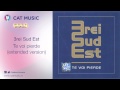 3rei Sud Est - Te voi pierde (extended version)